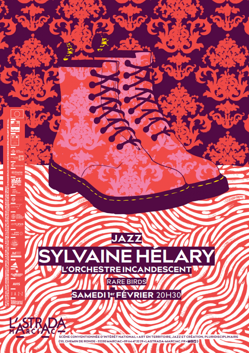 Sylvaine Hélary / L'Orchestre incandescent • Rare Birds • Samedi 1e février, 20h30