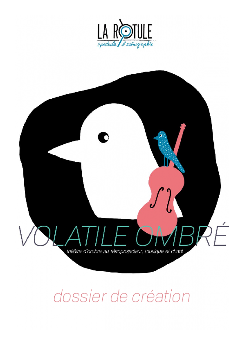 Volatile Ombré // Dossier pédagogique