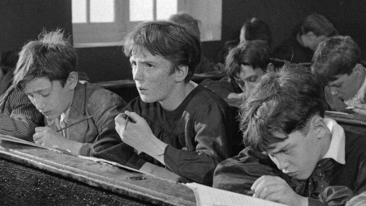 Poil de carotte AstradaMarciac